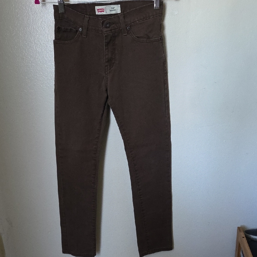 Levi's Men's Dark Brown Chinos